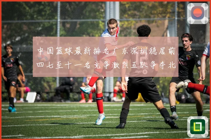 中国篮球最新排名广东深圳稳居前四七至十一名竞争激烈五队争夺北专题观察