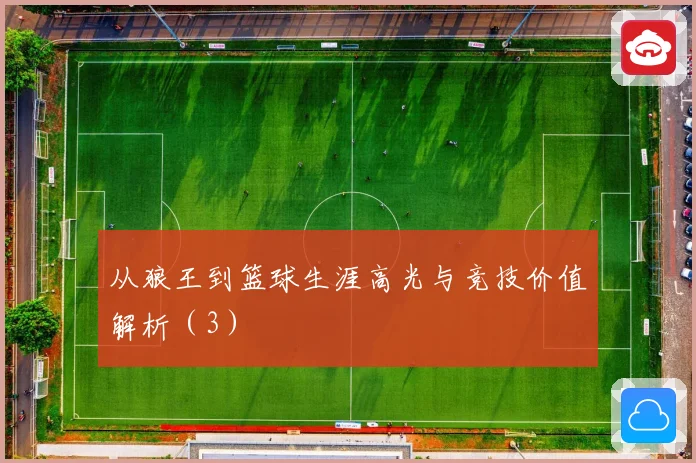 从狼王到篮球生涯高光与竞技价值解析（3）