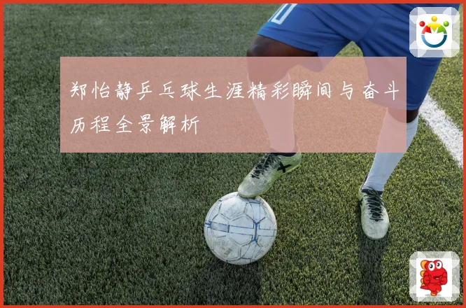 郑怡静乒乓球生涯精彩瞬间与奋斗历程全景解析
