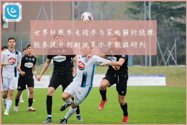 世界杯跟单竞猜参与策略解析稳操胜券提升判断效果水平数据研判