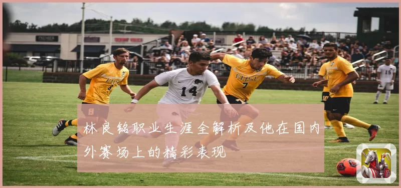 林良铭职业生涯全解析及他在国内外赛场上的精彩表现