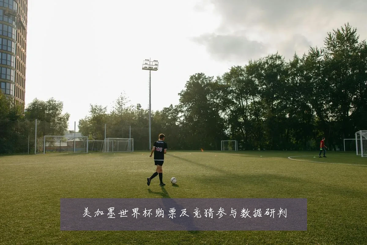 美加墨世界杯购票及竞猜参与数据研判