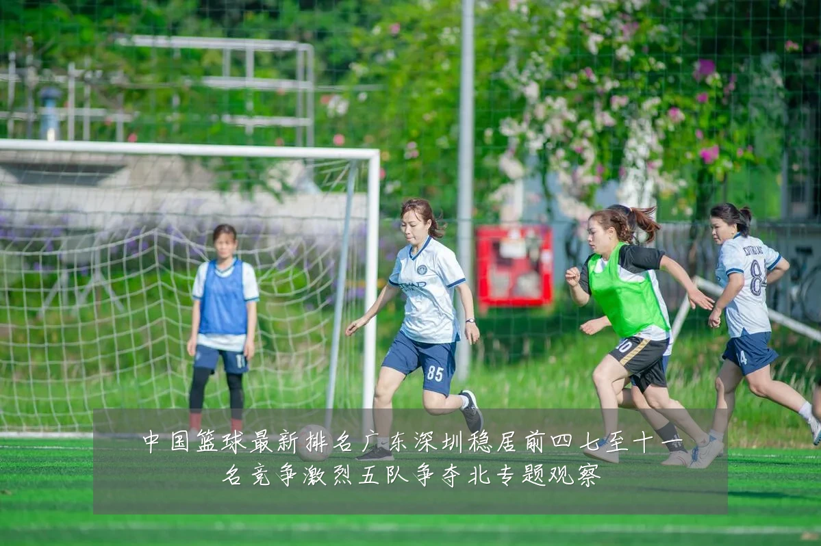 中国篮球最新排名广东深圳稳居前四七至十一名竞争激烈五队争夺北专题观察
